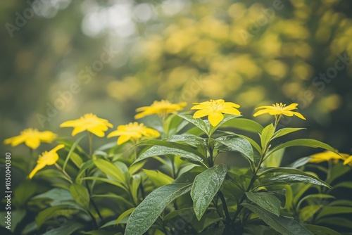 White coffee flowers blooming on coffee plants season and green coffee leaves. close-up. Beautiful simple AI generated image photo