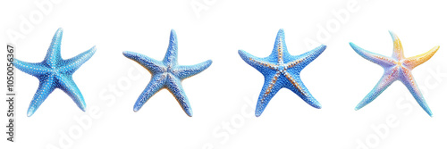 Set of Blue starfish in vivid color isolated on a transparent background