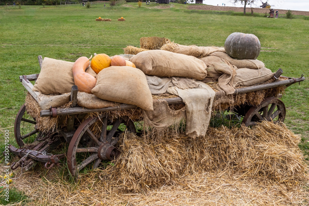 Pumpkins, sacks and hay on a peasant cart. Cart on a green meadow
