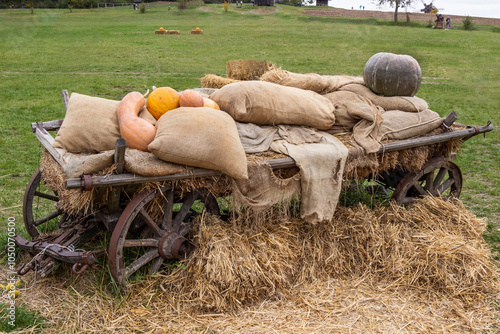 Obraz na płótnie Pumpkins, sacks and hay on a peasant cart. Cart on a green meadow w salonie