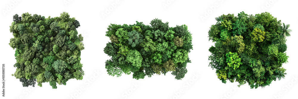 Set of Lush green forests isolated on a transparent background Set of Lush green forests isolated on a transparent background