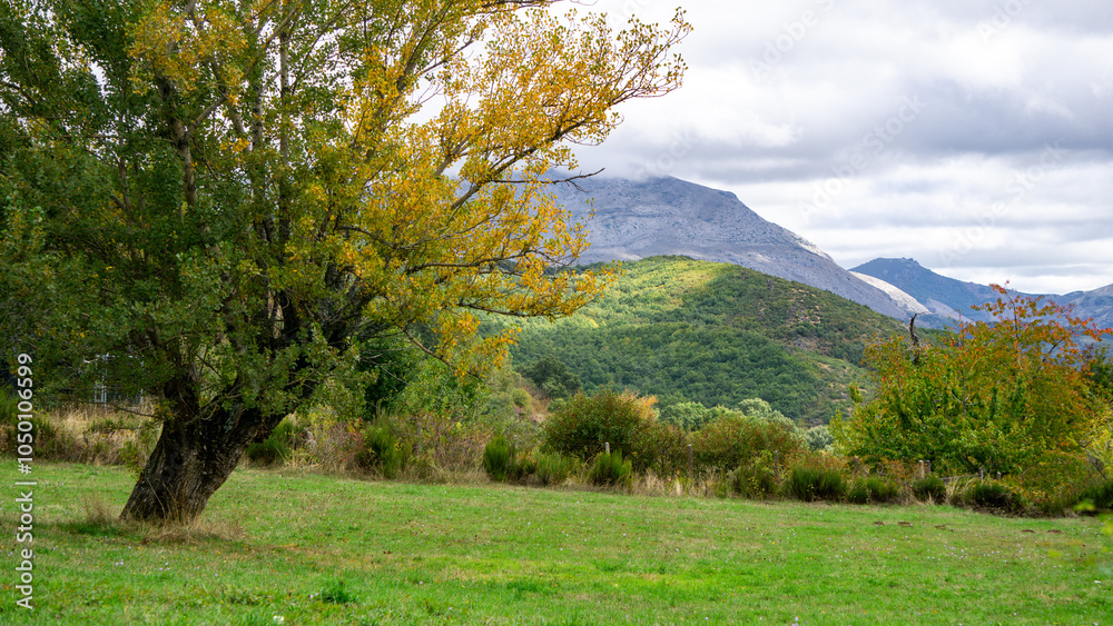 Landscape of the mountains with green pastures and high and imposing rocky peaks Landscape of the mountains with green pastures and high and imposing rocky peaks