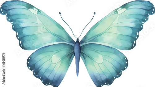 blue butterfly isolated on white