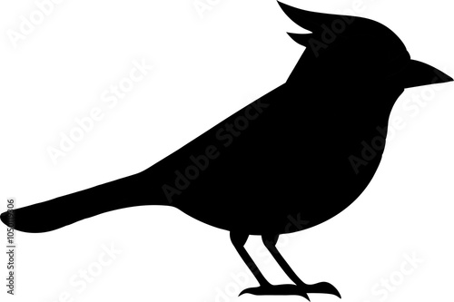 bird silhouette illustration on white background. photo