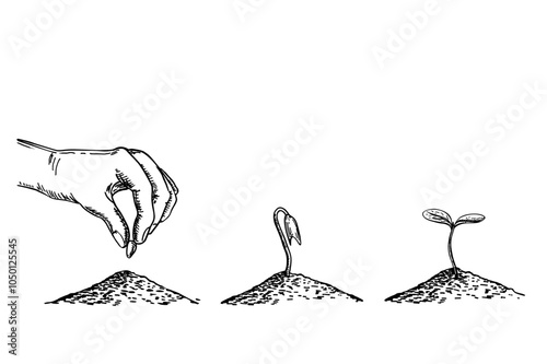 Set of illustrations with sketch plant growth phases. A hand plants a seed in the ground. Image for banners, websites, designs.  Hand drawn