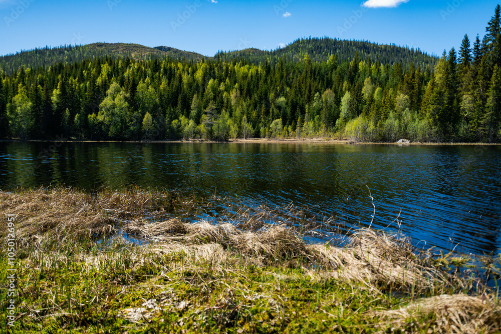 Obraz premium Beautiful lake in South Norway on a sunny day