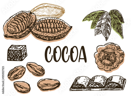 Cacao sketch illustration set. Cocoa hand drawn doodle. Chocolate. Cacao plant part, cacao beans, leaves, chocolate bar, chocolate dessert. For cafe, shop, menu, label, emblem, logo