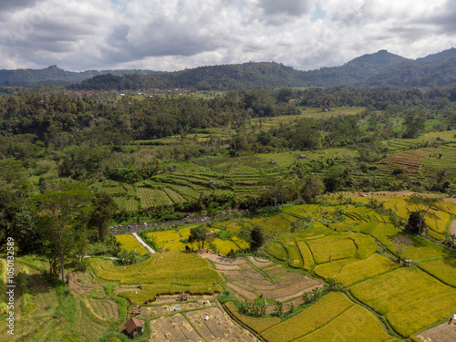 Aerial view of lush green rice terraces in a mountainous landscape. photo