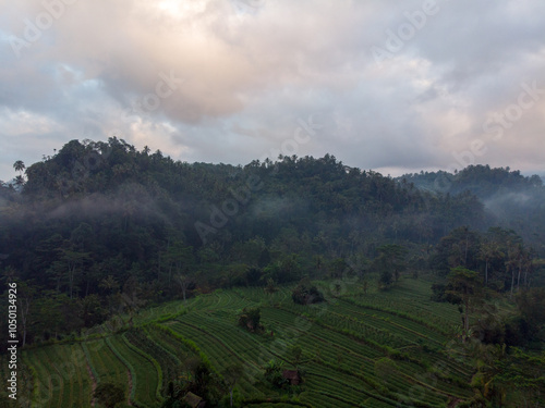 A serene view of lush green fields and misty hills under a cloudy sky. photo