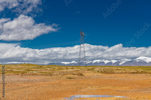 A group of wild Tibetan antelopes on the Qinghai-Tibet Plateau with the Kunlun Snow Mountains photo