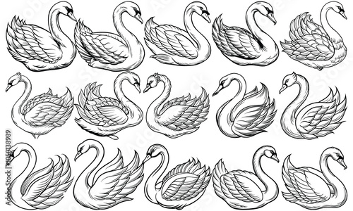 Swan Coloring Page for Adults, Beautifully Detailed Bird Line Art for Stress Relief, Ideal for Adult Coloring Books or Printable Art Therapy, High-Quality Artwork for Relaxation and Creativity.