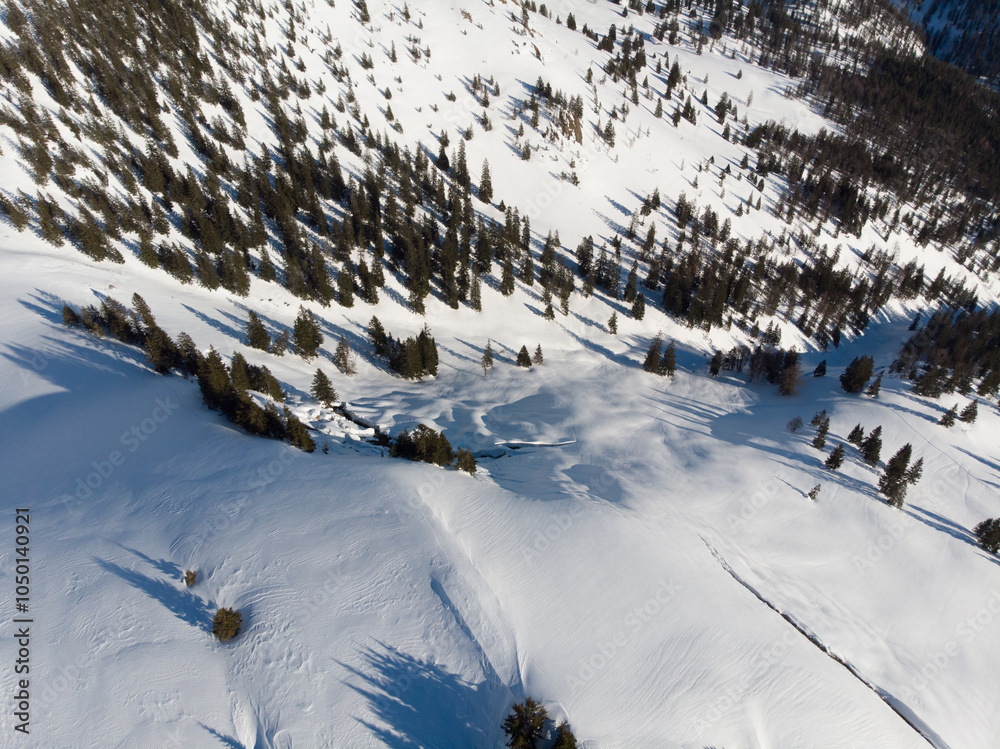 Aerial view of a snowy mountain landscape with scattered trees. Aerial view of a snowy mountain landscape with scattered trees.