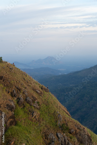 A serene hillside with a distant mountain view at dusk.