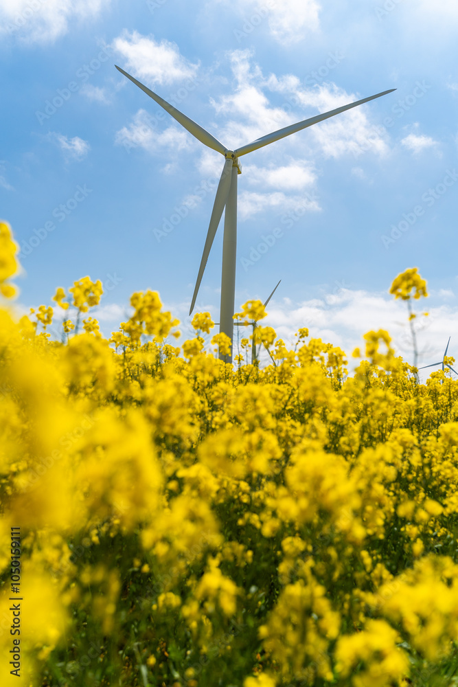 Wind park in the landscape of rapeseed fields. Bio fuel and green energy concept.