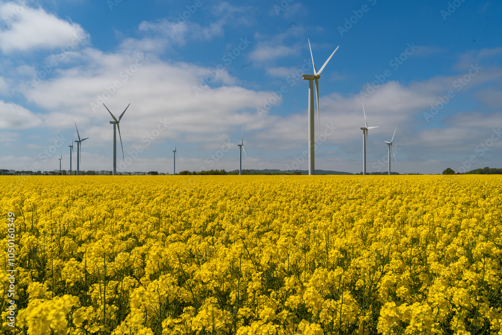 Wind park in the landscape of rapeseed fields. Bio fuel and green energy concept.