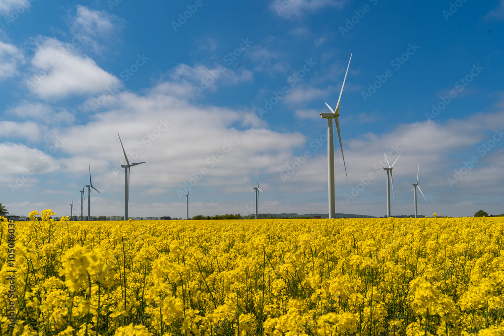 Wind park in the landscape of rapeseed fields. Bio fuel and green energy concept. Wind park in the landscape of rapeseed fields. Bio fuel and green energy concept.