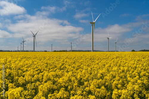 Obraz na płótnie Wind park in the landscape of rapeseed fields. Bio fuel and green energy concept. w salonie