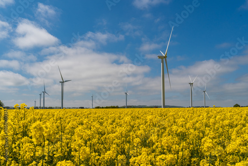 Obraz na płótnie Wind park in the landscape of rapeseed fields. Bio fuel and green energy concept. w salonie
