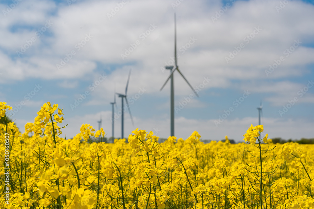 Wind park in the landscape of rapeseed fields. Bio fuel and green energy concept.