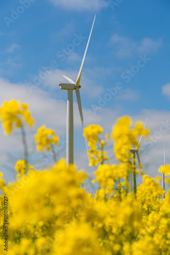 Obraz na płótnie Wind park in the landscape of rapeseed fields. Bio fuel and green energy concept. w salonie