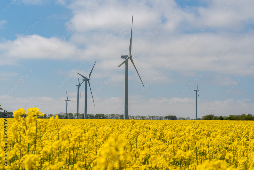 Wind park in the landscape of rapeseed fields. Bio fuel and green energy concept.