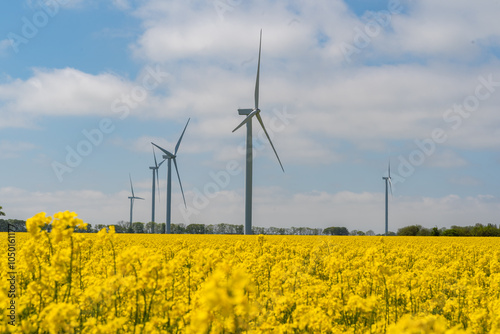 Obraz na płótnie Wind park in the landscape of rapeseed fields. Bio fuel and green energy concept. w salonie