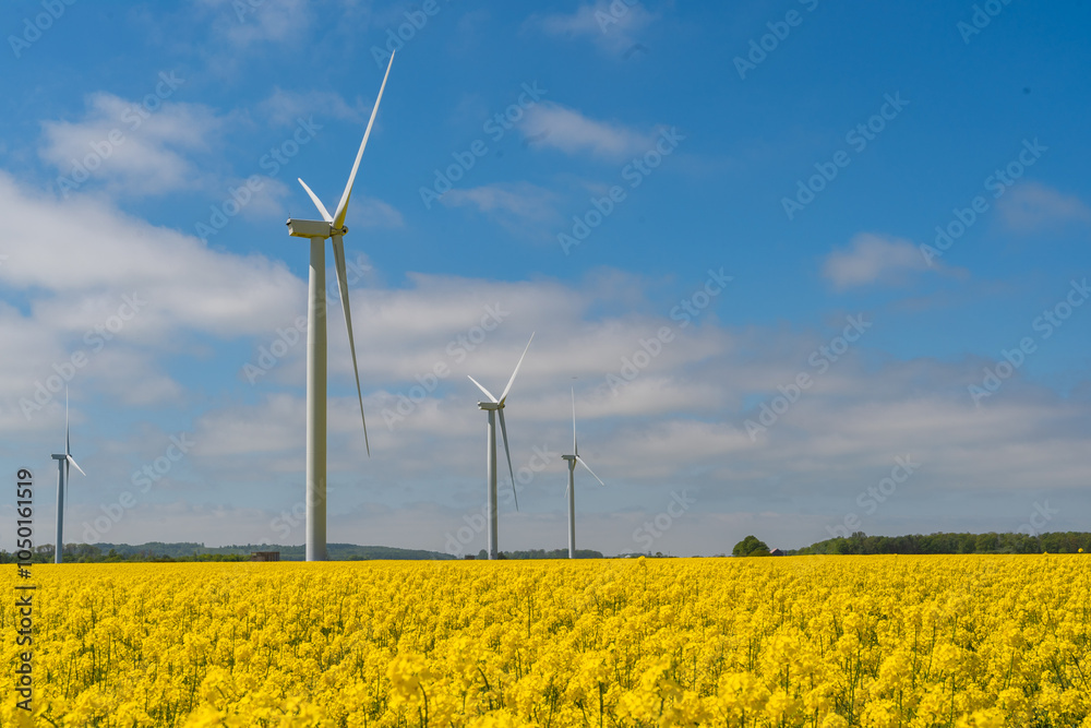Wind park in the landscape of rapeseed fields. Bio fuel and green energy concept.