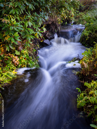 waterfall in the forest