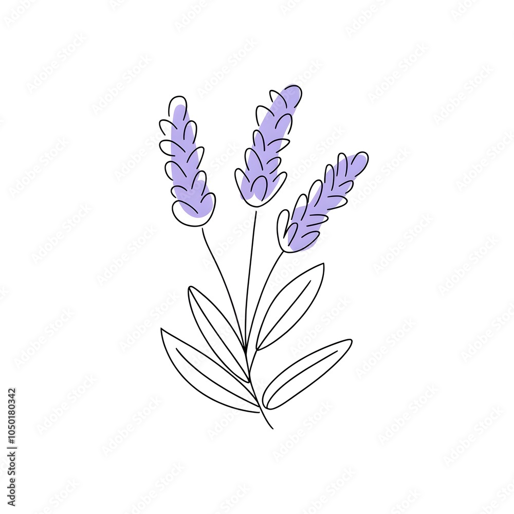 simple line drawing of a lavender flower simple line drawing of a lavender flower