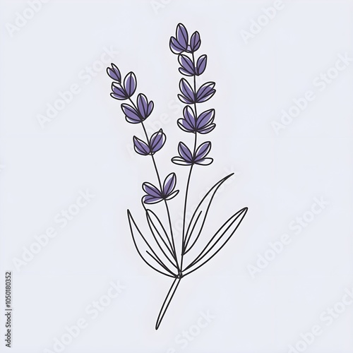 simple line drawing of a lavender flower 