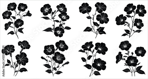 Set of decorative petunia flower silhouettes. Vector set of petunia silhouettes. Elegant vector petunia flowers silhouettes. Petunia flower silhouettes vector