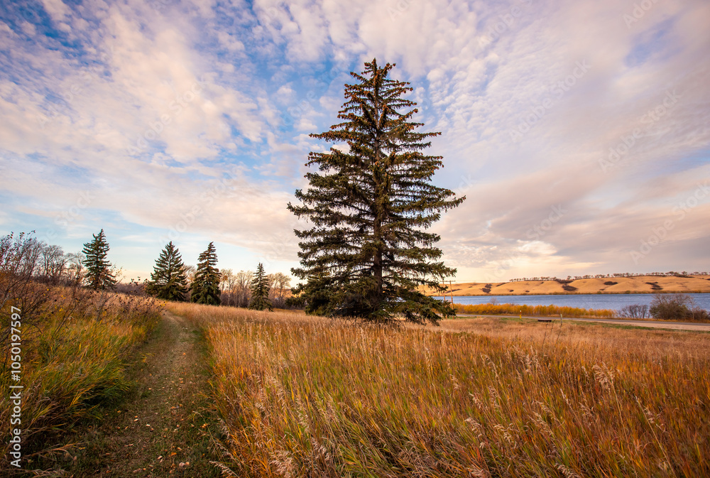 Blackstrap provincial park in autumn Blackstrap provincial park in autumn