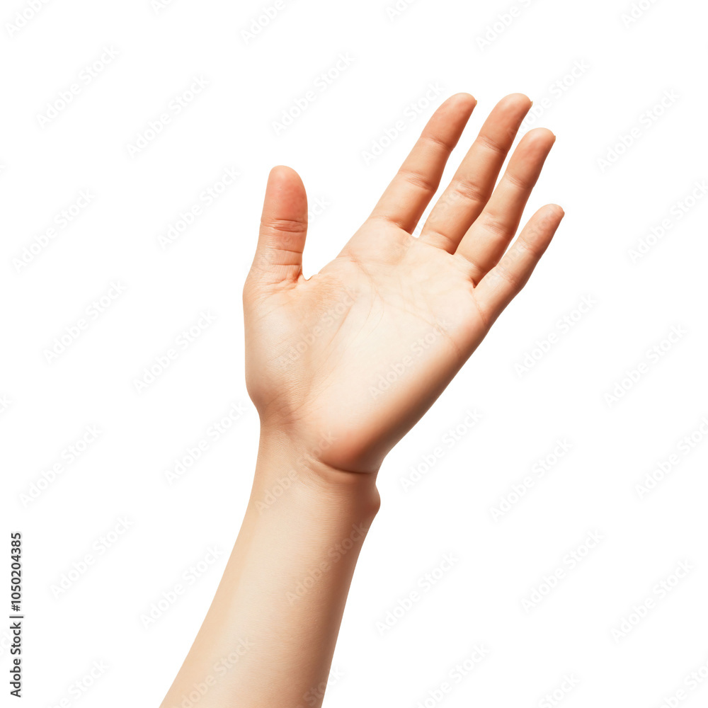 A graceful hand extends forward, palm up, symbolizing warmth and connection, inviting interaction and promoting feelings of welcome and openness in a serene atmosphere. A graceful hand extends forward, palm up, symbolizing warmth and connection, inviting interaction and promoting feelings of welcome and openness in a serene atmosphere.