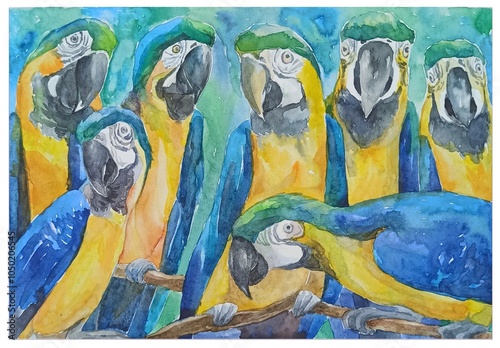 Macaw parrots, animal protection, watercolor illustration, postcard design, for advertising, in cool blue colors