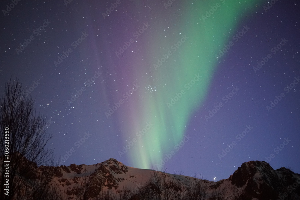 Fototapeta premium Northern lights in the Lofoten Islands (Norway)