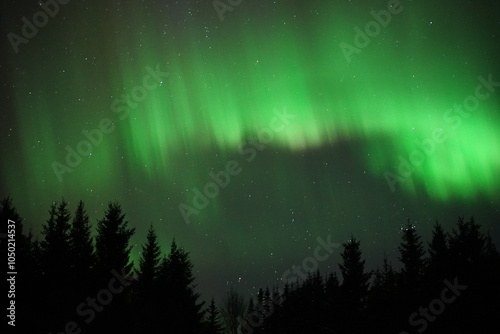 Northern lights in the Lofoten Islands (Norway)