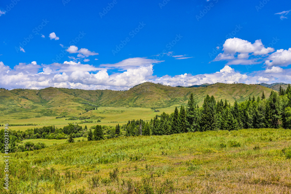 Fototapeta premium beautiful nature of East Kazakhstan