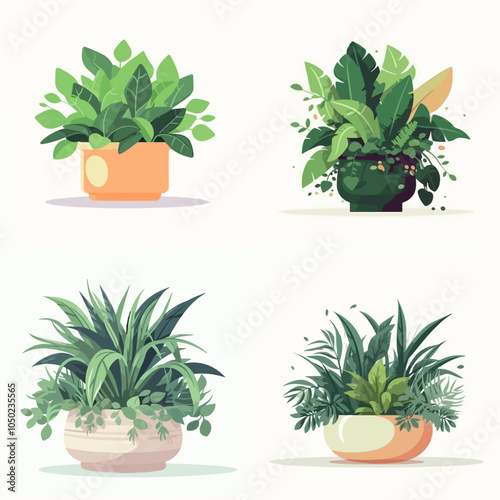 Four potted plants with green leaves are shown in different sizes and colors. The plants are placed in various pots, with some being taller and others shorter