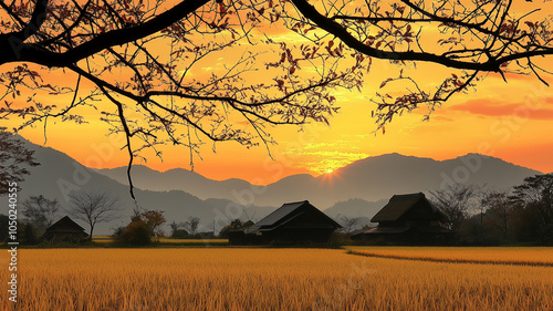 冬の訪れを感じる日本の田舎風景