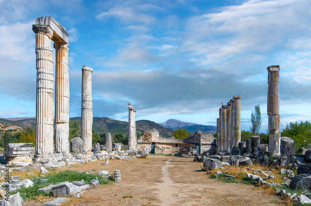 The ruins of Aphrodisias Ancient city (Afrodisias) in Turkey. The city was named after Aphrodite, the Greek goddess of love The ruins of Aphrodisias Ancient city (Afrodisias) in Turkey. The city was named after Aphrodite, the Greek goddess of love