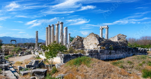 Canvastavla The ruins of Aphrodisias Ancient city (Afrodisias) in Turkey