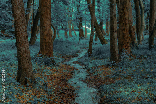 enchanted forest landscape color toning spring time natural environment space with small narrow water stream along trees and grass land photo