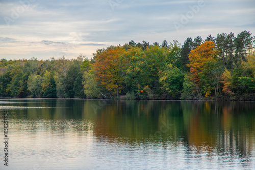 autumn trees reflected in water