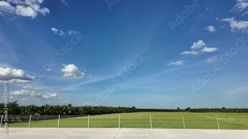 Blue sky cloudy flield farm green nature environemnt agriculture summer winter autumn rain season moving meadow grass rural outdoor countryside farmland harvest wheat beautiful springtime organic lawn photo