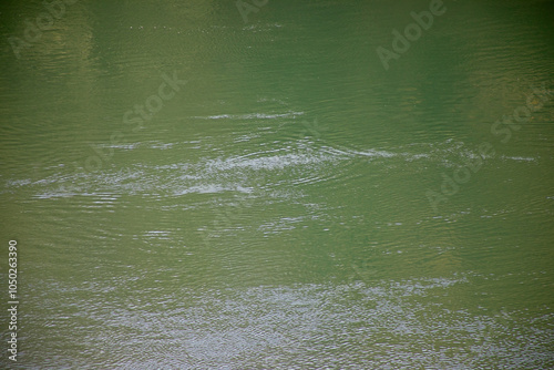 Calm green water surface with gentle ripples, illustrating tranquility and nature, perfect for Earth Day-related themes