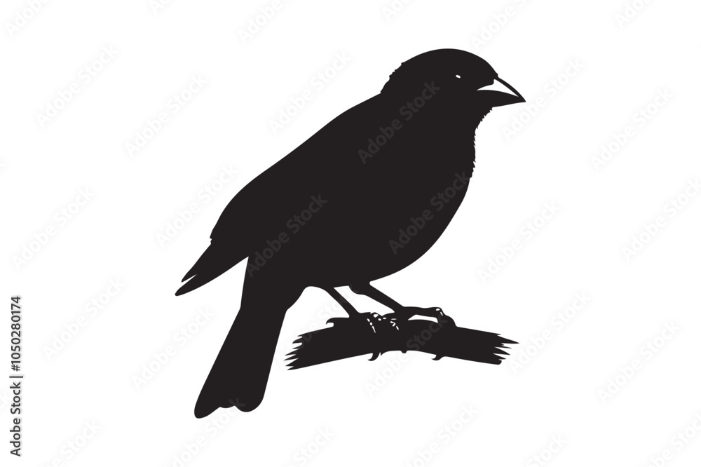 Scarlet Tanager silhouette bundle , Scarlet Tanager silhouette vector illustration Scarlet Tanager silhouette bundle , Scarlet Tanager silhouette vector illustration