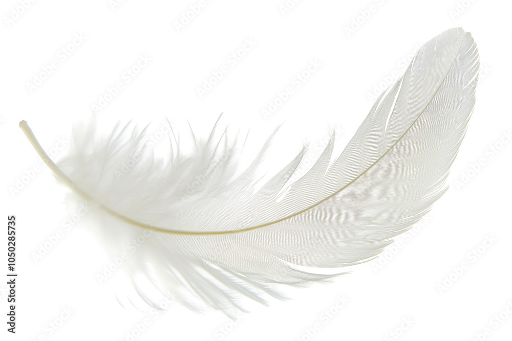 Obraz premium A delicate white feather gently resting against a clean white background, showcasing its intricate details and soft texture
