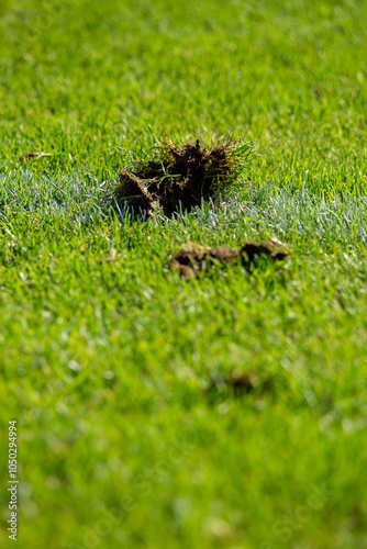 Stadion Fussball Spiel 