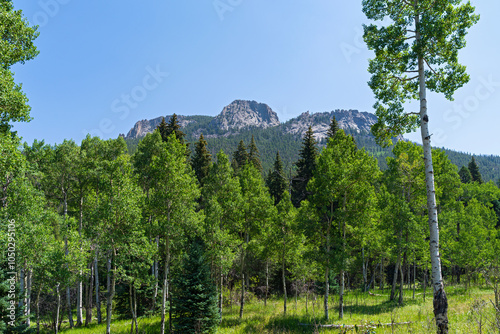 thorodin summit above woodlands at golden gate canyon state park golden colorado