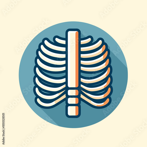 Stylized ribcage illustration in flat design for medical and educational purposes